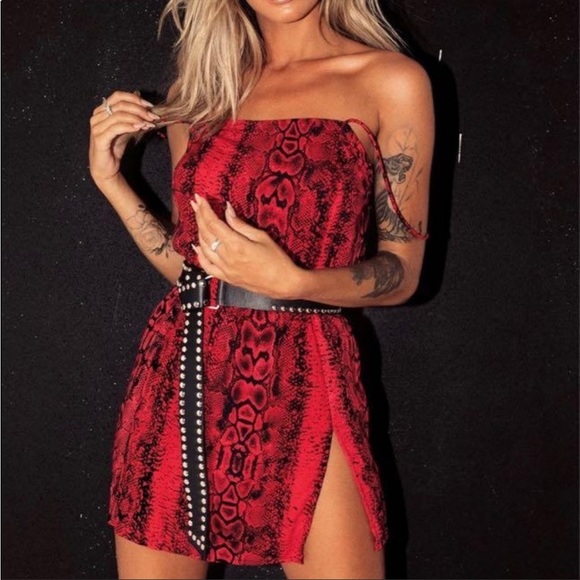 Datista Dress Snake Print | Motel - Picture 2 of 7